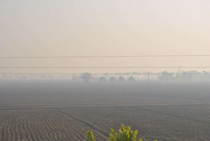 Kirpal Sagar, Felder im Morgennebel