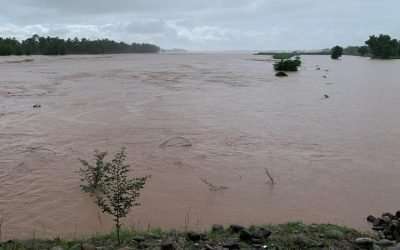 Sutlej run wild
